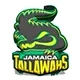 Jamaica Kingsmen